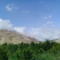 باغ پشت شهمیرزاد منطقه آسوران|فروش زمین و ملک کلنگی|شهمیرزاد, |دیوار