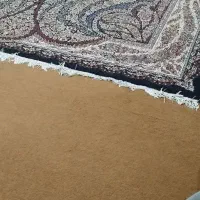 فرش وموکت|فرش|گرگان, |دیوار