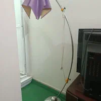 آباژور ایستاده  کنارسالنی