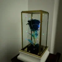 گل رز جاودان