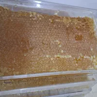 عسل طبیعی کامتال