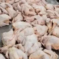 بیخس مرغ و گوساله