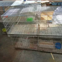 قفس پرنده بزرگ|لوازم جانبی حیوانات|رشت, کوی حسینی|دیوار