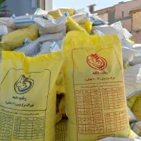 دان جوجه مرغ بلدرچین بوقلمون و غاز خانگی