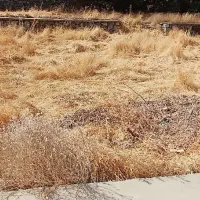 فروش زمین شهرکی جاده فشم / OUSHAN VILLA