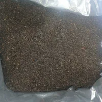 فروش چای عقرب اصل(خرده به قیمت عمده و ارسال رایگان|خوردنی و آشامیدنی|یزد, |دیوار