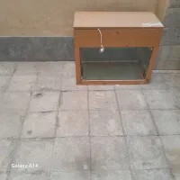 میل ورزشی  آکواریوم  گل