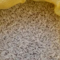 برنج‌هاشمی‌وچای‌گیلان‌به‌قیمت‌سر‌شالیزار)حذف واسطه