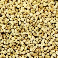 توت خشک امسالی / شیرین ۱۷۰/۰۰۰ سایه خشک|خوردنی و آشامیدنی|قم, ولیعصر|دیوار