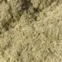 فروش کاه لوبیا چیتی