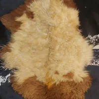 پوست مویی گوسفندی و بزی|آرایشی، بهداشتی، درمانی|قم, رضویه|دیوار