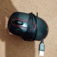 کامپیوتر|رایانه رومیزی|بوکان, |دیوار