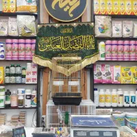 قفس دان اسباب بازی لوازم پرندگان پت شاپ طوطی مارکت|لوازم جانبی حیوانات|قم, زنبیل آباد|دیوار