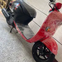 پاکشتی وینو