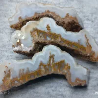 سنگ شجر زیبا|بدلیجات|کرمان, |دیوار