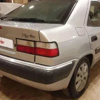 زانتیا نقره ای