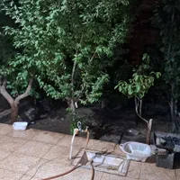 سویت روزانه راین|اجارهٔ کوتاه‌مدت آپارتمان و سوئیت|راین, |دیوار