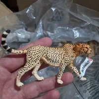 فروش فیگور حیوانات|کلکسیون و سرگرمی|اصفهان, دانشگاه اصفهان|دیوار