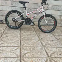 دوچرخه سایز بیست