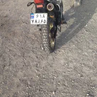 تریل رادیسون