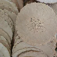 تولید انواع نان های بدون گلوتن و خالص|خوردنی و آشامیدنی|تبریز, |دیوار