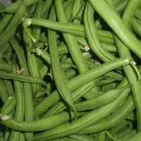لوبیا سبز آماده