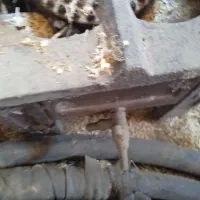 گاز|اجاق گاز و لوازم برقی پختوپز|کوهدشت, |دیوار