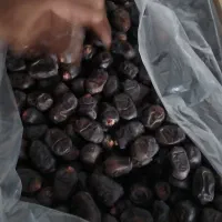 خرما مضافتی درجه یک