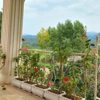 اجاره ویلا شبانه در  شمال کلاچای رحیم آباد|اجارهٔ کوتاه‌مدت ویلا و باغ|کلاچای, |دیوار