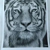 طراحی سه بعدی چهره در هرسایز باقیمت و کیفیت عالی