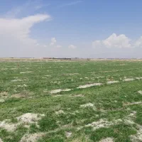فروش زمین کشاورزی کوشک بیدک|فروش زمین و ملک کلنگی|شیراز, کوشک بیدک|دیوار