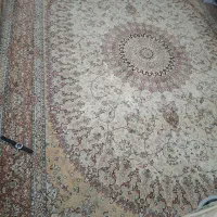 فرش12متری زمینه کرم|فرش|نیشابور, مدرس|دیوار