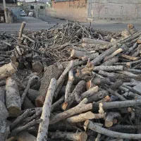 خریدار چوب انواع درختان باغی با بالاترین قیمت|خدمات باغبانی و درختکاری|محمدشهر, سیدآباد|دیوار