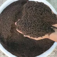 ورمی کمپوست   انالیزمعتبرکتبی  پژوهشکده|خدمات باغبانی و درختکاری|تربت‌حیدریه, شهرک ولیعصر|دیوار