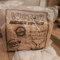 پوشال خرگوش