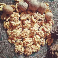 به یک خانم جهت بازاریابی تمام نقاط شهر نیازمندیم
