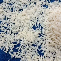 فروش برنج هاشمی درجه یک