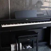 پیانو دیجیتال YAMAHA مدل YDP 165|پیانو، کیبورد، آکاردئون|شیراز, ابیوردی|دیوار