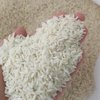 برنج محلی و حبوبات