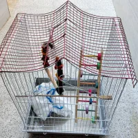 قفس پرنده