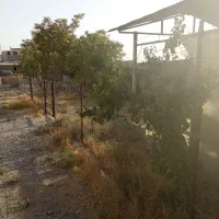 دامداری200راسی