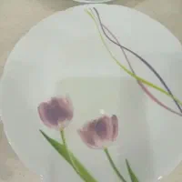 فروشی|ظروف سرو و پذیرایی|اصفهان, مهرآباد|دیوار