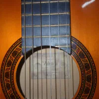 گیتار والنسیا cg160