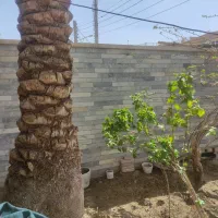 فروش خانه 175 متری ۴ خوابه|فروش خانه و ویلا|خرمشهر, |دیوار
