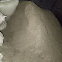 باگاس یا نیشکر