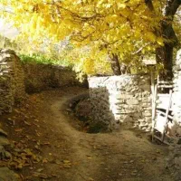 فروش-زمین-ویلا-نزدیک-اراک