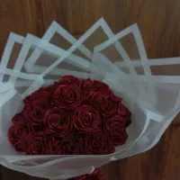 همراه شادی لحظه ها|گل و گیاه طبیعی|کوچصفهان, |دیوار