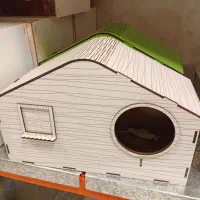 عروس هلندی،مرغ عشق،طوطی،انواع پرندگان زینتی