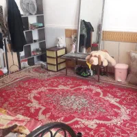 فروش مسکونی ۲۷۰ متری فقط سند دارد