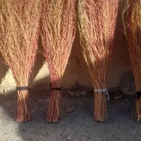 جاروسنتی دستی